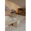 table-basse-design-beige-livia
