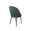 Chaise ou fauteuil de table vert