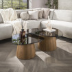 tania-lot-2-tables-basses-verre-fume-salon.jpg