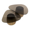 tania-tables-basses-design-verre-fume.jpg