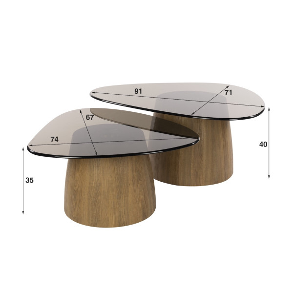 TANIA Smoked Glass Coffee Tables with an Oak Finish – Set of 2